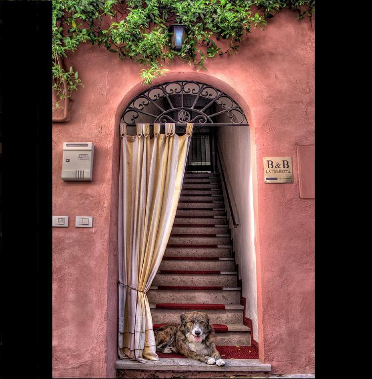 Bed and Breakfast La Torretta Тусканія Екстер'єр фото